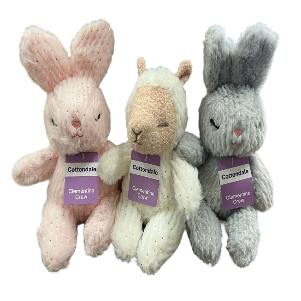 3 pack Cottondale Clementine Crew